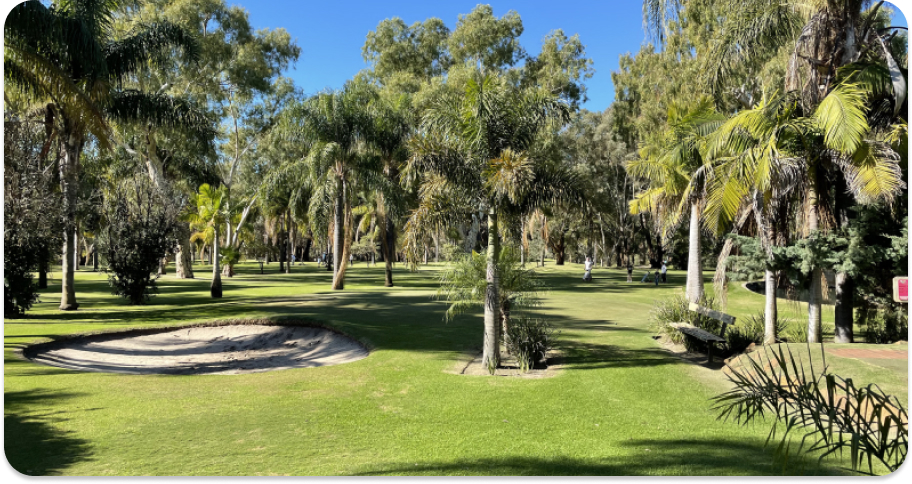 Supa Golf & Mini Golf Perth  Big Balls, Oversized Clubs and a Shorter  Course provides great fun in the Swan Valley this Autumn. Turn off the  data, talk to eachother and